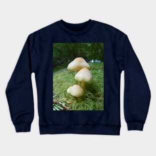 Mushroom Closeup Nature Photography Pacific Northwest Crewneck Sweatshirt